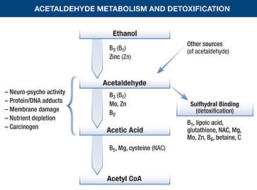 Dihydromyricetin - Ultimate Guide To Dhm 