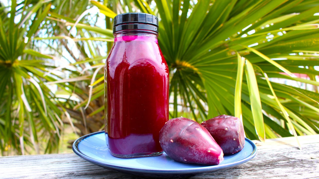 prickly pear juice for hangover